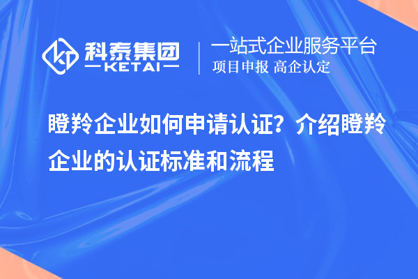 瞪羚企業(yè)如何申請認證？介紹瞪羚企業(yè)的認證標準和流程