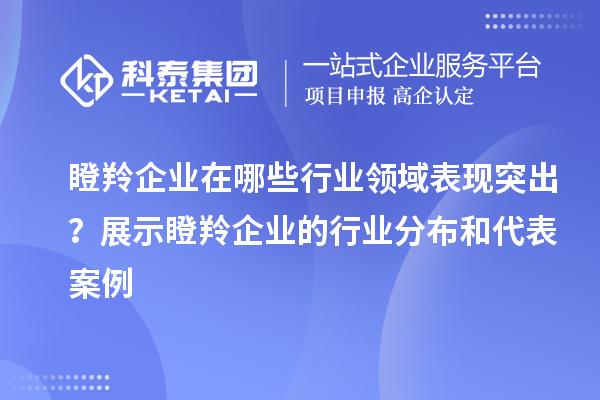 瞪羚企業(yè)在哪些行業(yè)領(lǐng)域表現(xiàn)突出？展示瞪羚企業(yè)的行業(yè)分布和代表案例