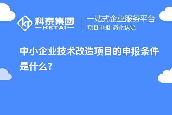 中小企業(yè)<a href=http://www.hsloq2267.cn/fuwu/jishugaizao.html target=_blank class=infotextkey>技術(shù)改造</a>項目的申報條件是什么？