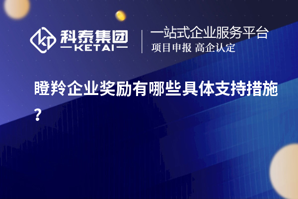 瞪羚企業(yè)獎(jiǎng)勵(lì)有哪些具體支持措施？