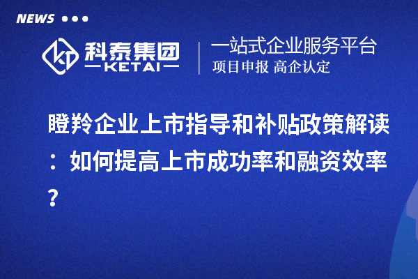 瞪羚企業(yè)上市指導和補貼政策解讀：如何提高上市成功率和融資效率？