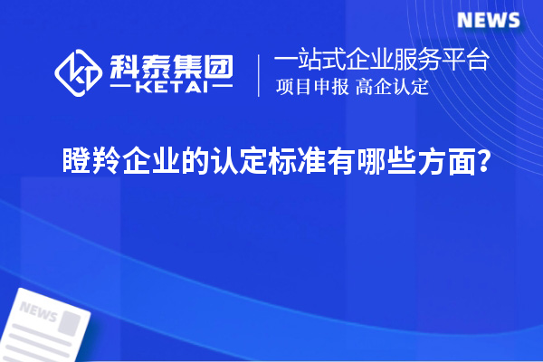 瞪羚企業(yè)的認定標(biāo)準(zhǔn)有哪些方面？