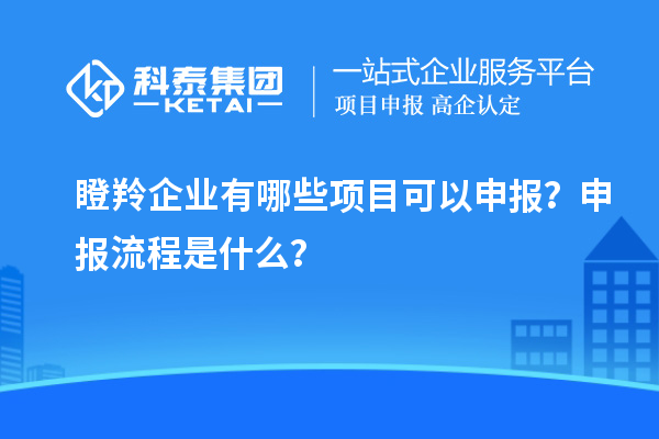 瞪羚企業(yè)有哪些項目可以申報？申報流程是什么？