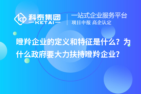 瞪羚企業(yè)的定義和特征是什么？為什么政府要大力扶持瞪羚企業(yè)？