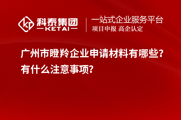廣州市瞪羚企業(yè)申請(qǐng)材料有哪些？有什么注意事項(xiàng)？