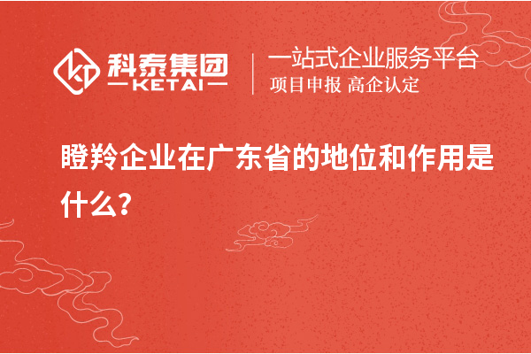 瞪羚企業(yè)在廣東省的地位和作用是什么？