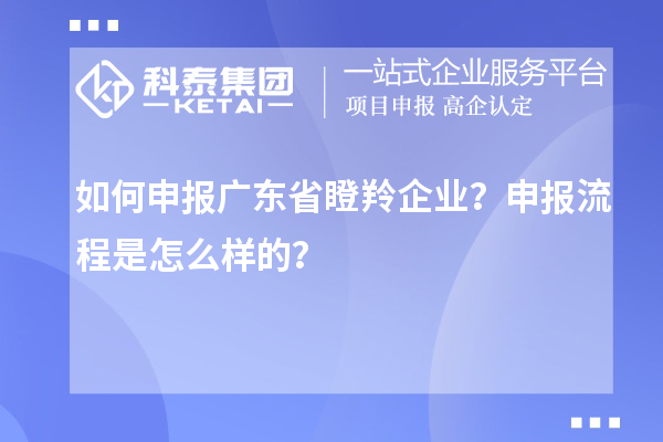 如何申報(bào)廣東省瞪羚企業(yè)？申報(bào)流程是怎么樣的？
