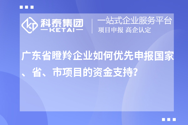 廣東省瞪羚企業(yè)如何優(yōu)先申報國家、省、市項目的資金支持？