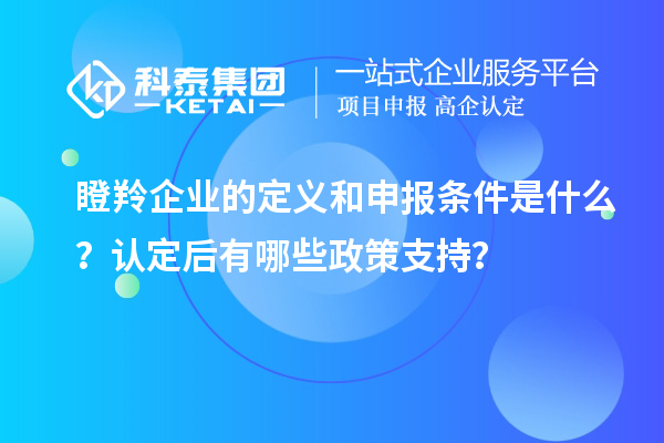 瞪羚企業(yè)的定義和申報條件是什么？認(rèn)定后有哪些政策支持？