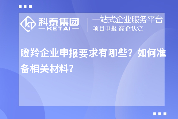 瞪羚企業(yè)申報要求有哪些？如何準(zhǔn)備相關(guān)材料？
