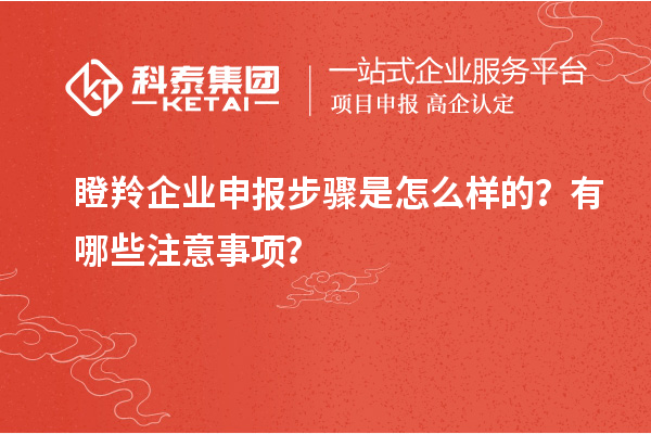 瞪羚企業(yè)申報(bào)步驟是怎么樣的？有哪些注意事項(xiàng)？