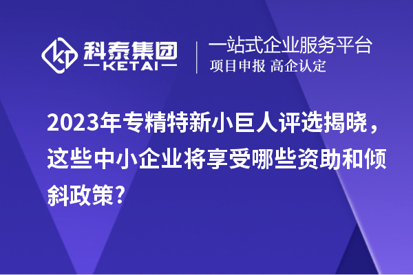 2023年專精特新小巨人評選揭曉，這些中小企業(yè)將享受哪些資助和傾斜政策?
