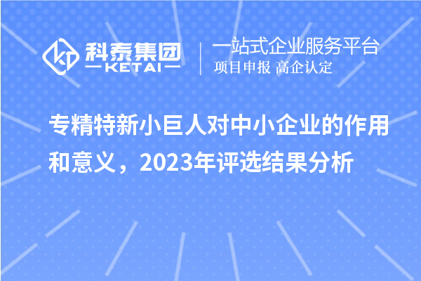 專精特新小巨人對(duì)中小企業(yè)的作用和意義，2023年評(píng)選結(jié)果分析
