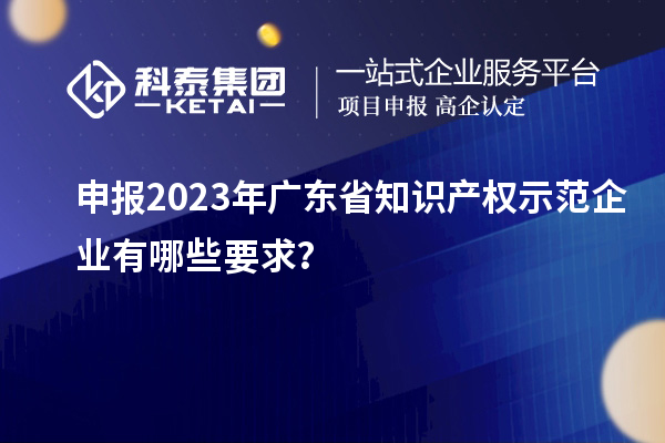 申報2023年廣東省知識產權示范企業(yè)有哪些要求？