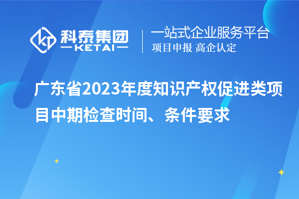 廣東省2023年度知識產(chǎn)權(quán)促進(jìn)類項目中期檢查時間、條件要求