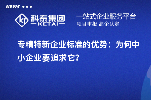 專精特新企業(yè)標(biāo)準(zhǔn)的優(yōu)勢：為何中小企業(yè)要追求它？