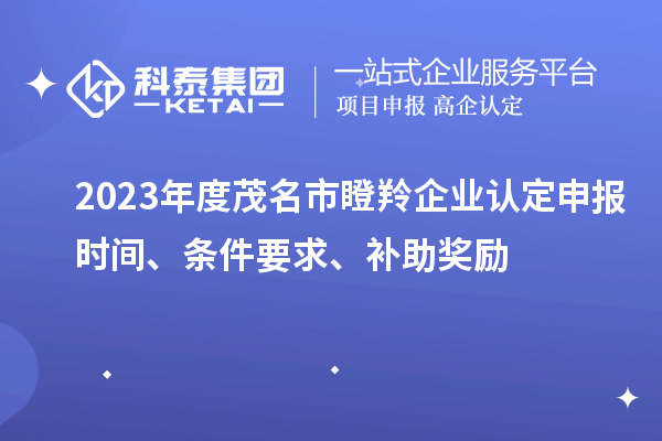 2023年度茂名市瞪羚企業(yè)認(rèn)定申報(bào)時(shí)間、條件要求、補(bǔ)助獎(jiǎng)勵(lì)