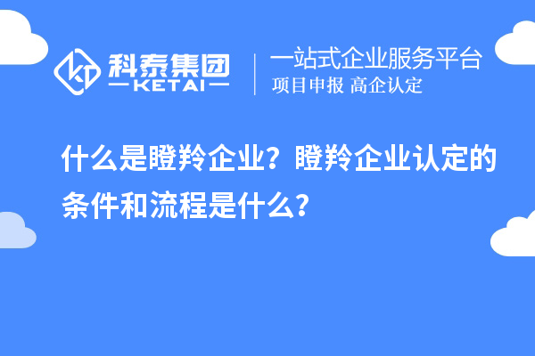 什么是瞪羚企業(yè)？瞪羚企業(yè)認定的條件和流程是什么？