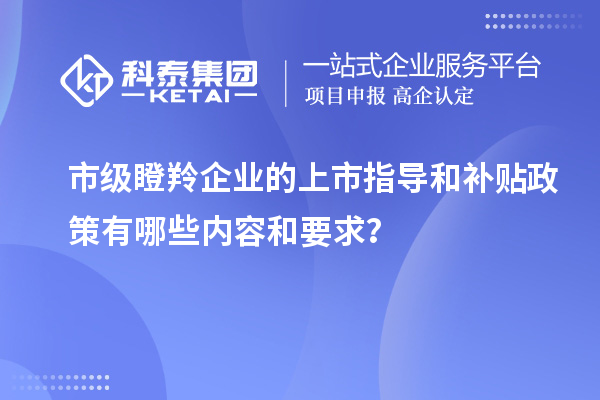 市級瞪羚企業(yè)的上市指導(dǎo)和補(bǔ)貼政策有哪些內(nèi)容和要求？