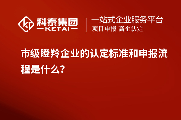 市級瞪羚企業(yè)的認(rèn)定標(biāo)準(zhǔn)和申報流程是什么？