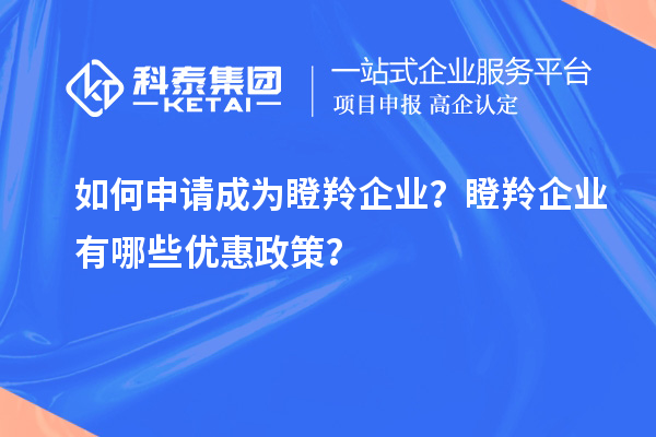 如何申請成為瞪羚企業(yè)？瞪羚企業(yè)有哪些優(yōu)惠政策？