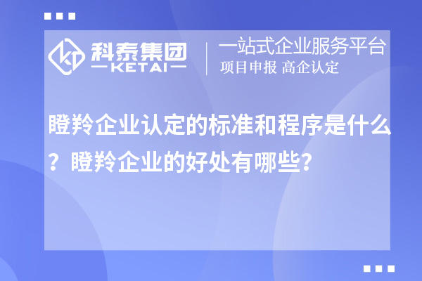 <a href=http://www.hsloq2267.cn/fuwu/dengling.html target=_blank class=infotextkey>瞪羚企業(yè)認定</a>的標準和程序是什么？瞪羚企業(yè)的好處有哪些？