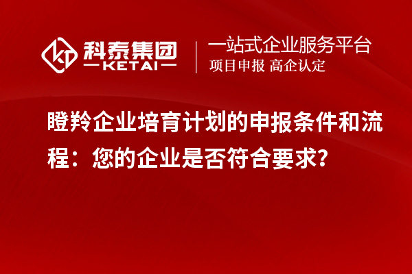 瞪羚企業(yè)培育計(jì)劃的申報(bào)條件和流程：您的企業(yè)是否符合要求？