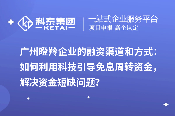 廣州瞪羚企業(yè)的融資渠道和方式：如何利用科技引導(dǎo)免息周轉(zhuǎn)資金，解決資金短缺問(wèn)題？