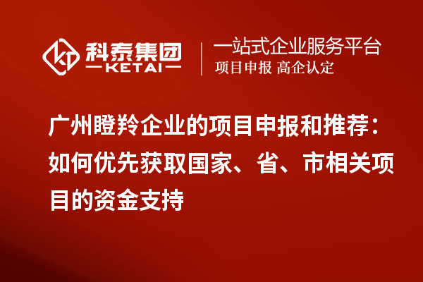 廣州瞪羚企業(yè)的項目申報和推薦：如何優(yōu)先獲取國家、省、市相關(guān)項目的資金支持