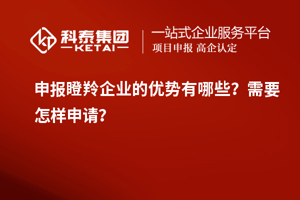 申報瞪羚企業(yè)的優(yōu)勢有哪些？需要怎樣申請？