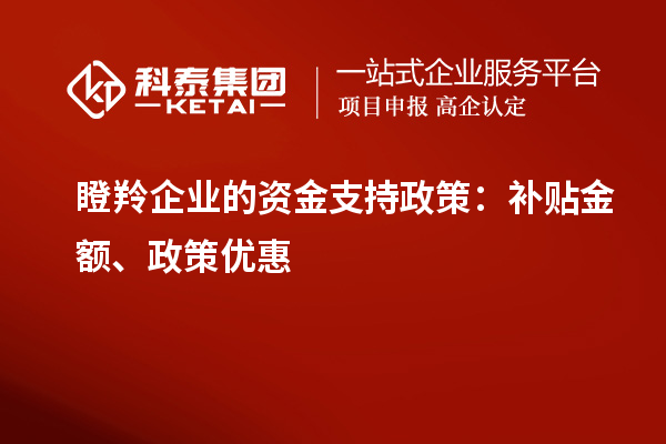 瞪羚企業(yè)的資金支持政策：補(bǔ)貼金額、政策優(yōu)惠