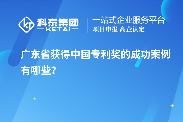 廣東省獲得中國(guó)專利獎(jiǎng)的成功案例有哪些？