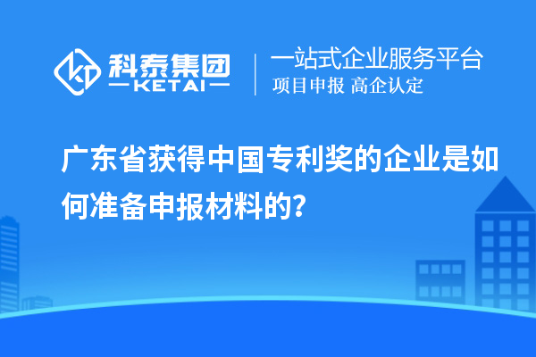 廣東省獲得中國專利獎的企業(yè)是如何準備申報材料的？