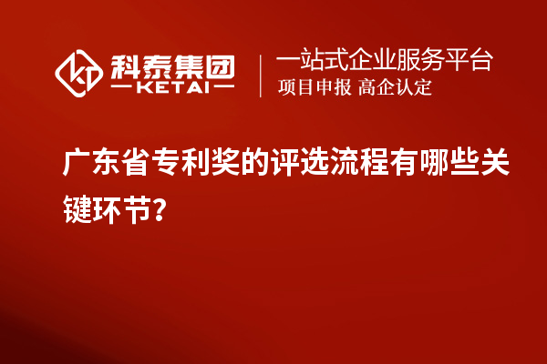 廣東省專利獎的評選流程有哪些關(guān)鍵環(huán)節(jié)？