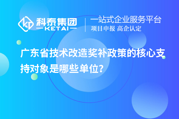 廣東省技術(shù)改造獎(jiǎng)補(bǔ)政策的核心支持對(duì)象是哪些單位？
