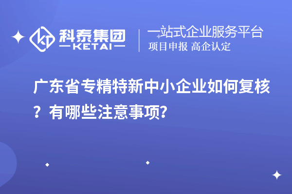 廣東省專精特新中小企業(yè)如何復(fù)核？有哪些注意事項(xiàng)？