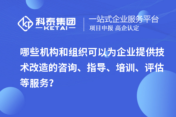 哪些機構(gòu)和組織可以為企業(yè)提供技術(shù)改造的咨詢、指導、培訓、評估等服務？