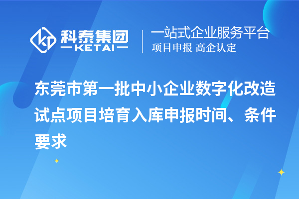 東莞市第一批中小企業(yè)數(shù)字化改造試點(diǎn)項(xiàng)目培育入庫申報(bào)時(shí)間、條件要求
