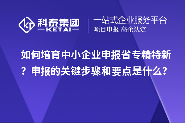 如何培育中小企業(yè)申報(bào)省專精特新？申報(bào)的關(guān)鍵步驟和要點(diǎn)是什么？