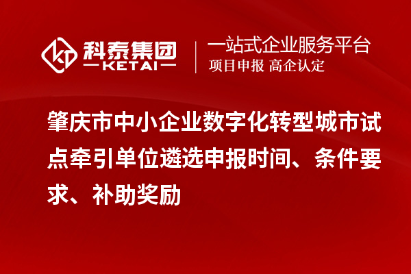 肇慶市中小企業(yè)數(shù)字化轉(zhuǎn)型城市試點牽引單位遴選申報時間、條件要求、補助獎勵