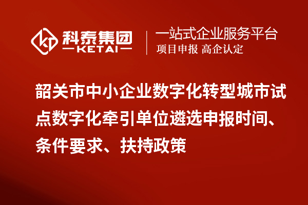韶關(guān)市中小企業(yè)數(shù)字化轉(zhuǎn)型城市試點(diǎn)數(shù)字化牽引單位遴選申報(bào)時(shí)間、條件要求、扶持政策
