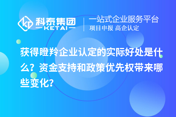 獲得瞪羚企業(yè)認(rèn)定的實(shí)際好處是什么？資金支持和政策優(yōu)先權(quán)帶來(lái)哪些變化？