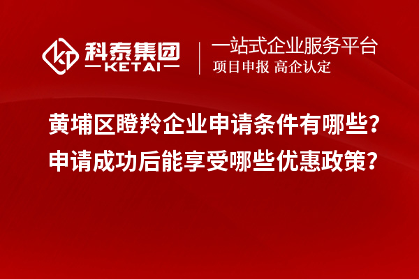 黃埔區(qū)瞪羚企業(yè)申請條件有哪些？申請成功后能享受哪些優(yōu)惠政策？