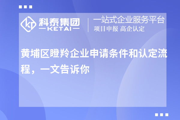 黃埔區(qū)瞪羚企業(yè)申請條件和認定流程，一文告訴你