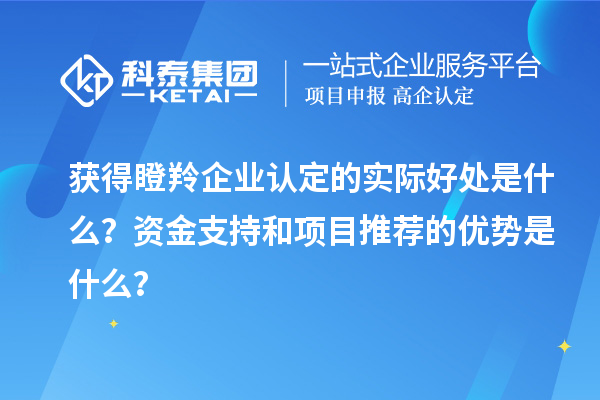 獲得瞪羚企業(yè)認定的實際好處是什么？資金支持和項目推薦的優(yōu)勢是什么？