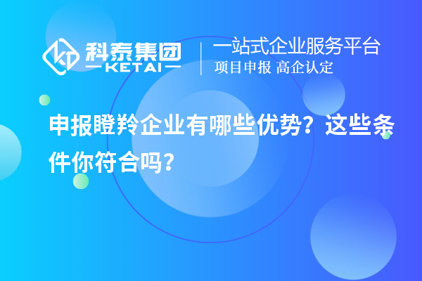 申報(bào)瞪羚企業(yè)有哪些優(yōu)勢(shì)？這些條件你符合嗎？