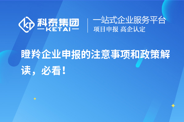 瞪羚企業(yè)申報(bào)的注意事項(xiàng)和政策解讀，必看！