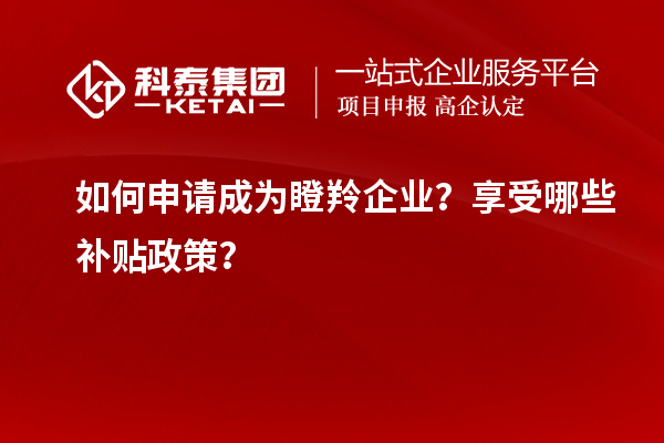 如何申請成為瞪羚企業(yè)？享受哪些補(bǔ)貼政策？