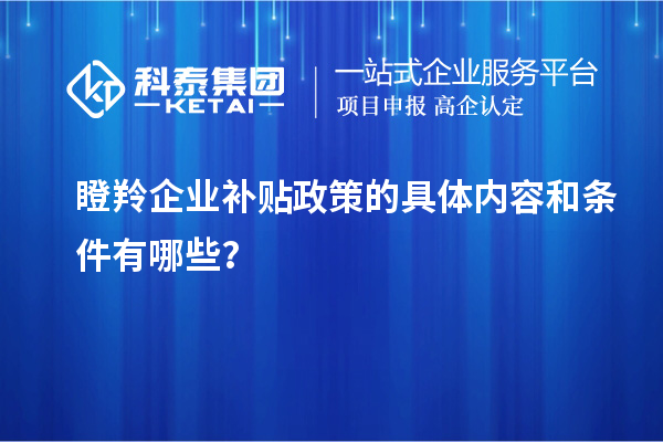 瞪羚企業(yè)補貼政策的具體內容和條件有哪些？