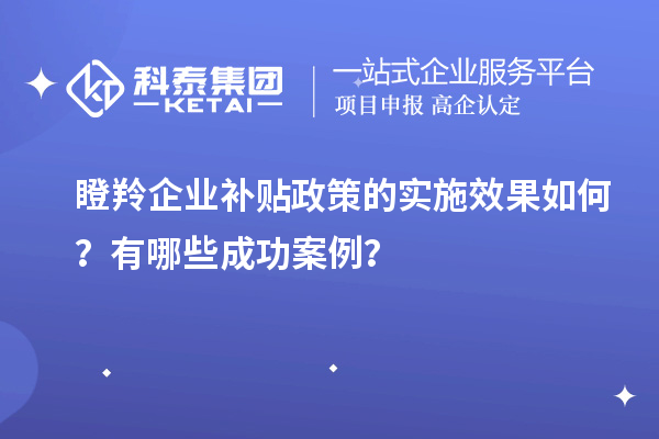 瞪羚企業(yè)補(bǔ)貼政策的實(shí)施效果如何？有哪些成功案例？